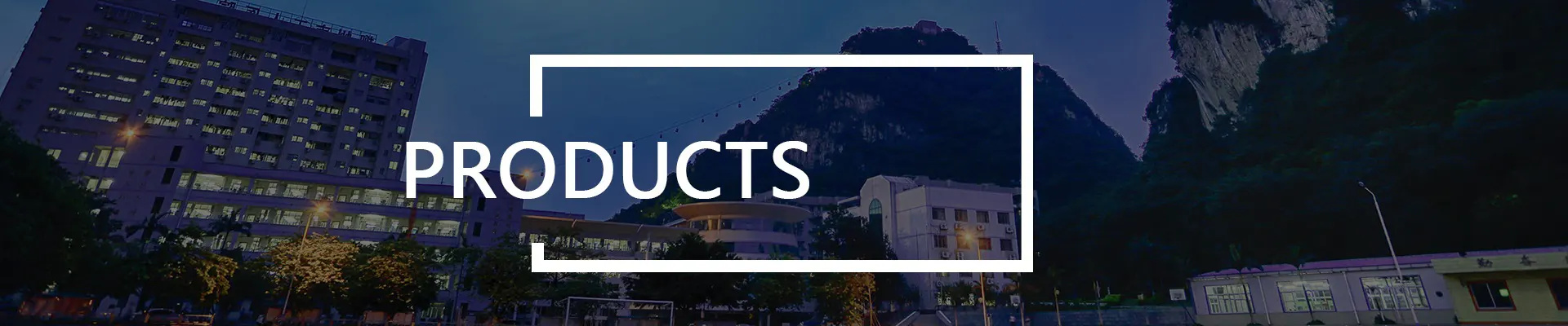 PRODUCTS